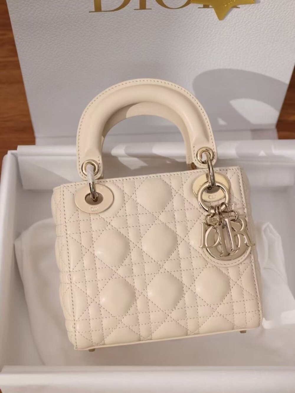 Classic DIOR Bag: A Stylish and Versatile Choice for Elegance
